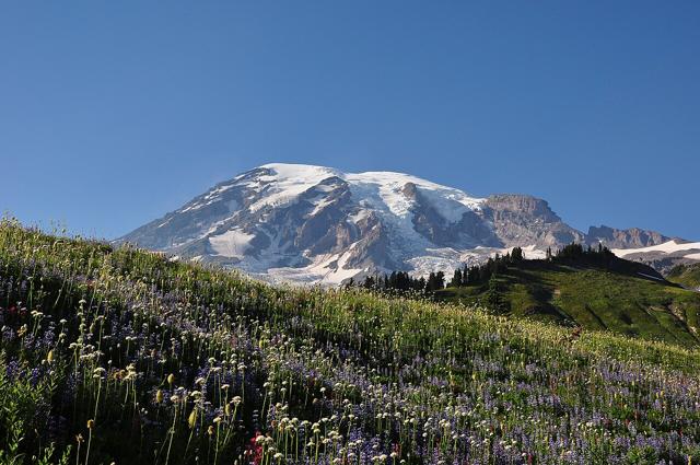 Mount Rainier